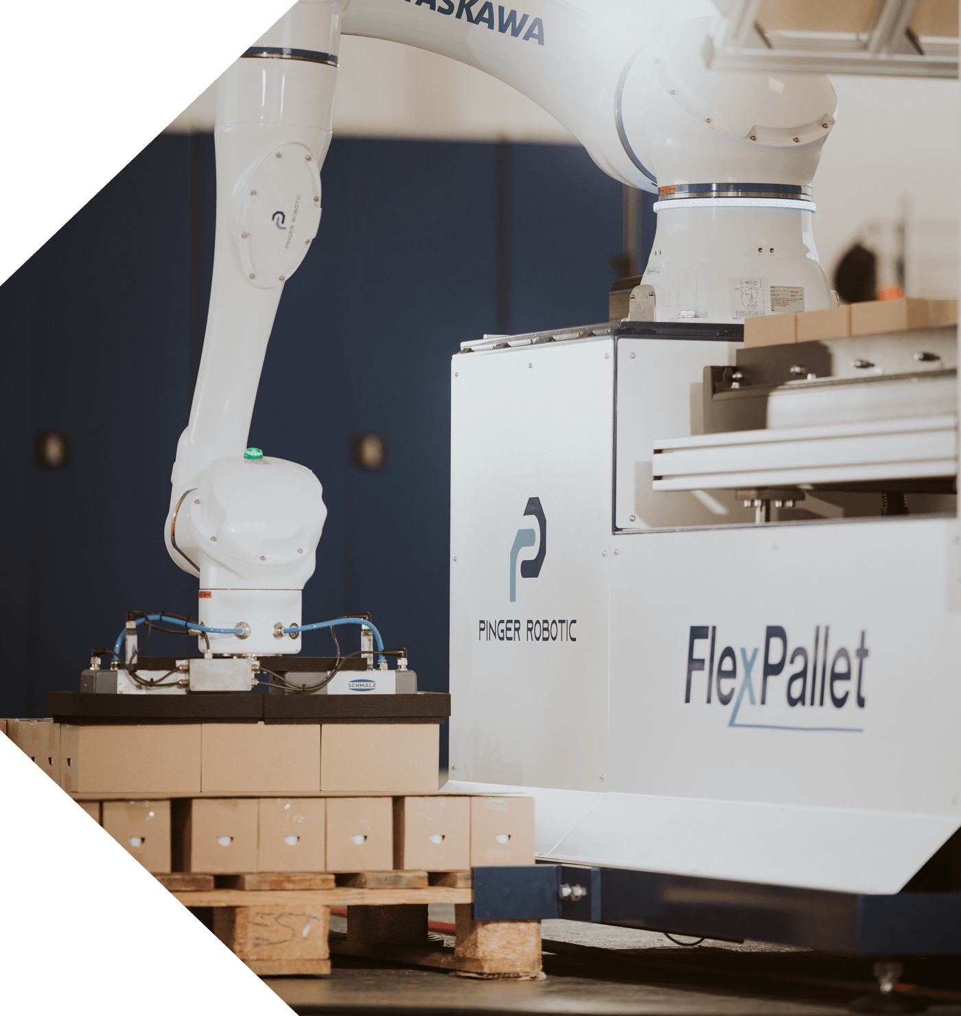 Pinger Robotic Standardanlage
